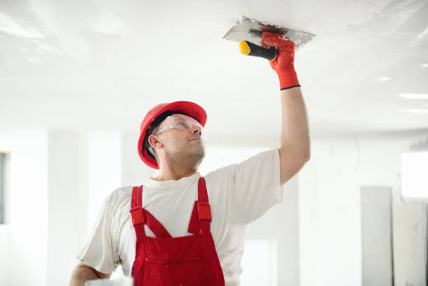 Professional Drywall and Painting Service in Elkridge, MD