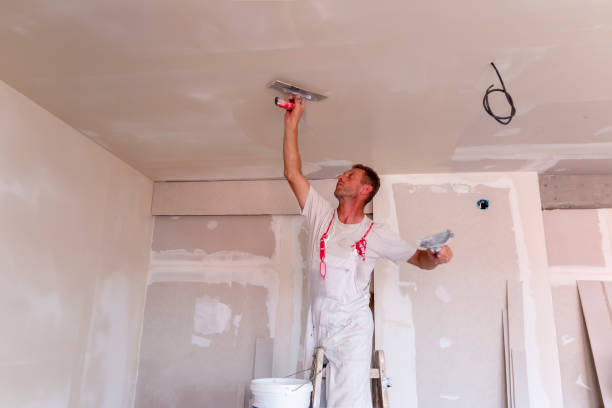 Best Painting for New Construction  in Elkridge, MD